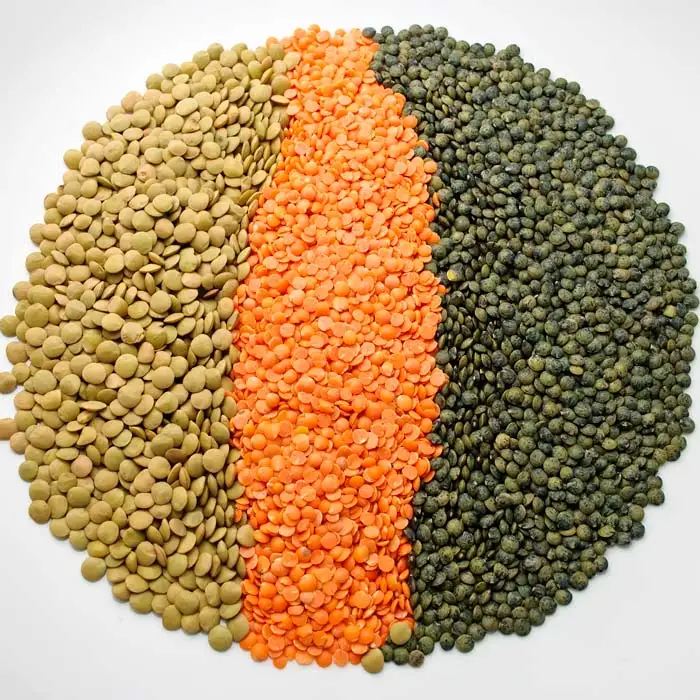 quality red lentils/green lentils/ yellow lentils