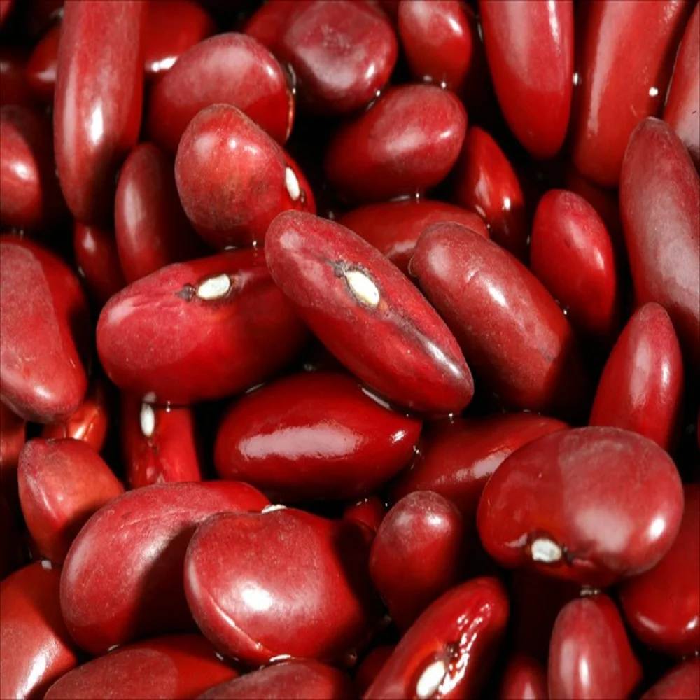 grains cheapest low price organic long red kidney beans