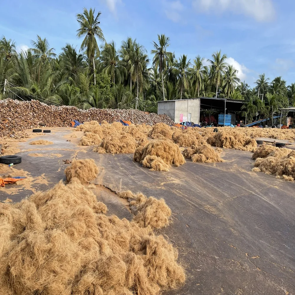 TOP RATED !!! Coconut Fiber 100% Natural Coconut Fiber for mattress production Brownish yellow made in Viet Nam