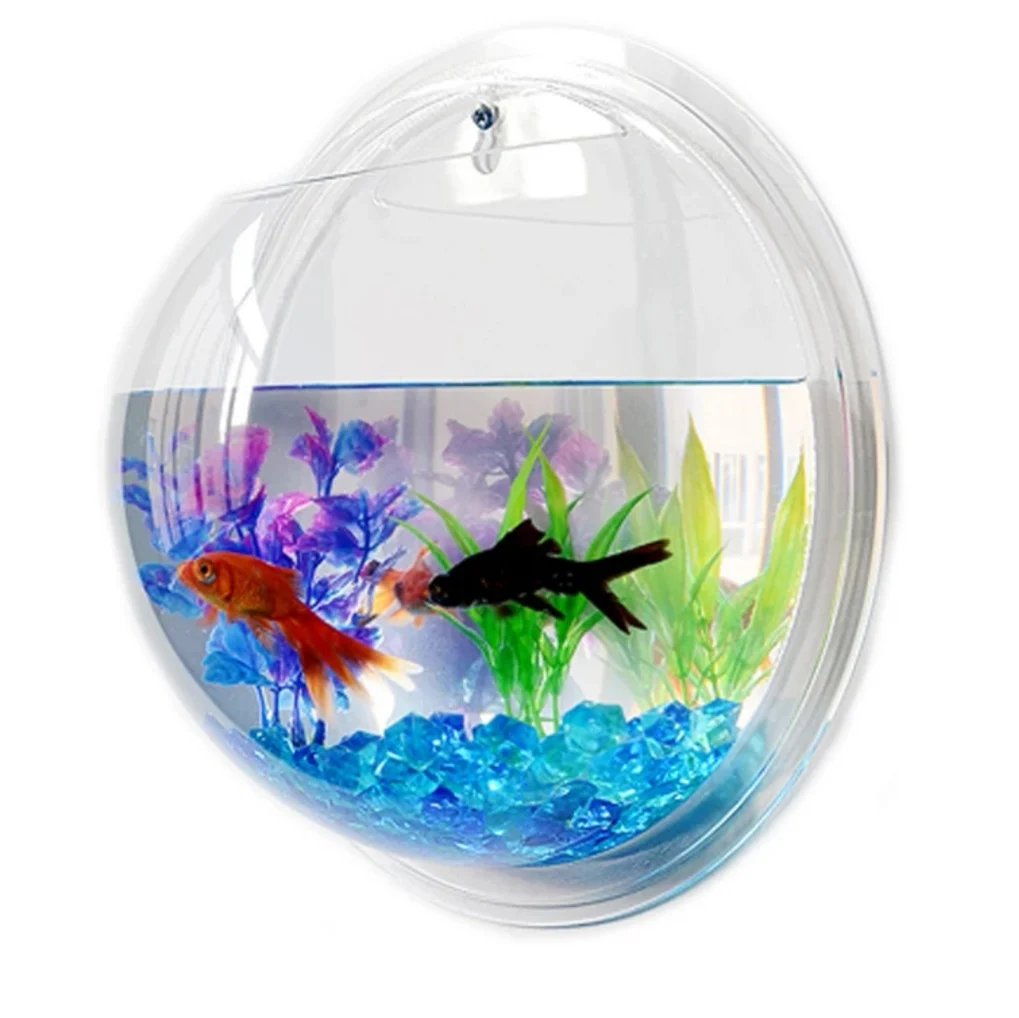 betta fish products