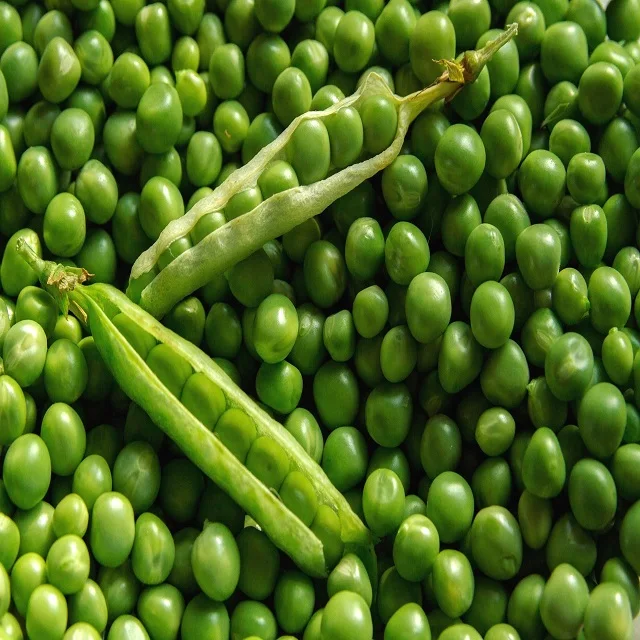 high protein natural green peas at cheap rate - buy peas,canned