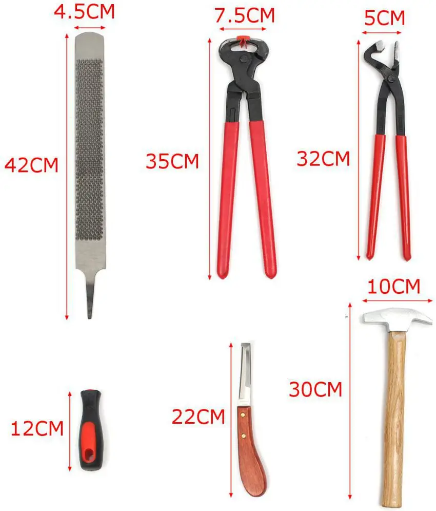 6pcs Set Farrier Tools Hoof Stainless Steel Buy Farrier Tools Kit