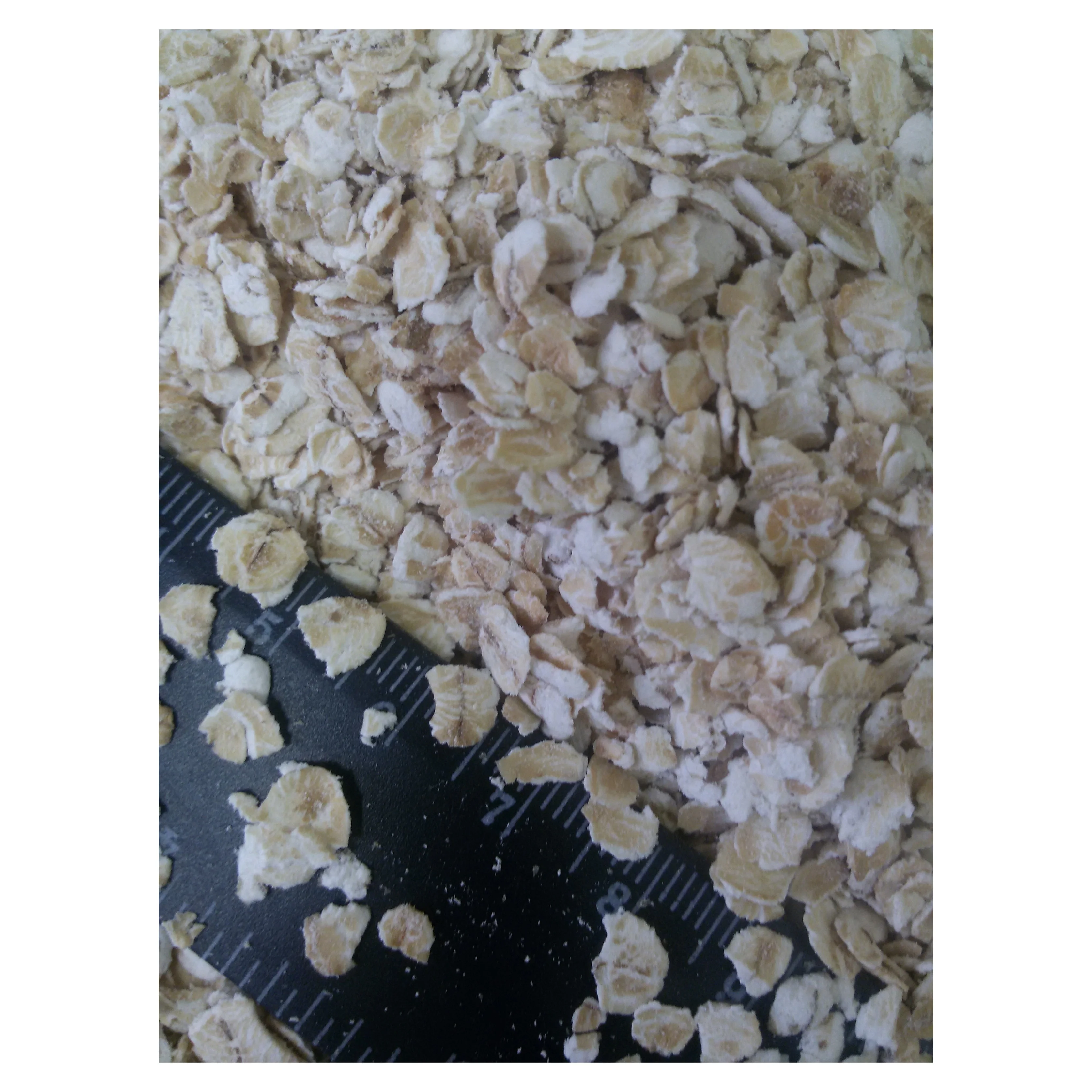 Serpihan Gandum Instan Bubur Organik Untuk Sarapan Buy Oat Organik Oatmeal Gandum Instan Oat Serpih Product On Alibaba Com
