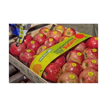 Made in Italy wooden cases fresh stayman apples
