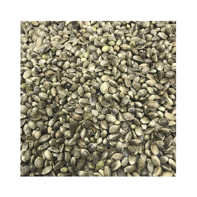 Raw High Quality Hemp Grain Wholesale Natural 100% Healthy Food Low Price