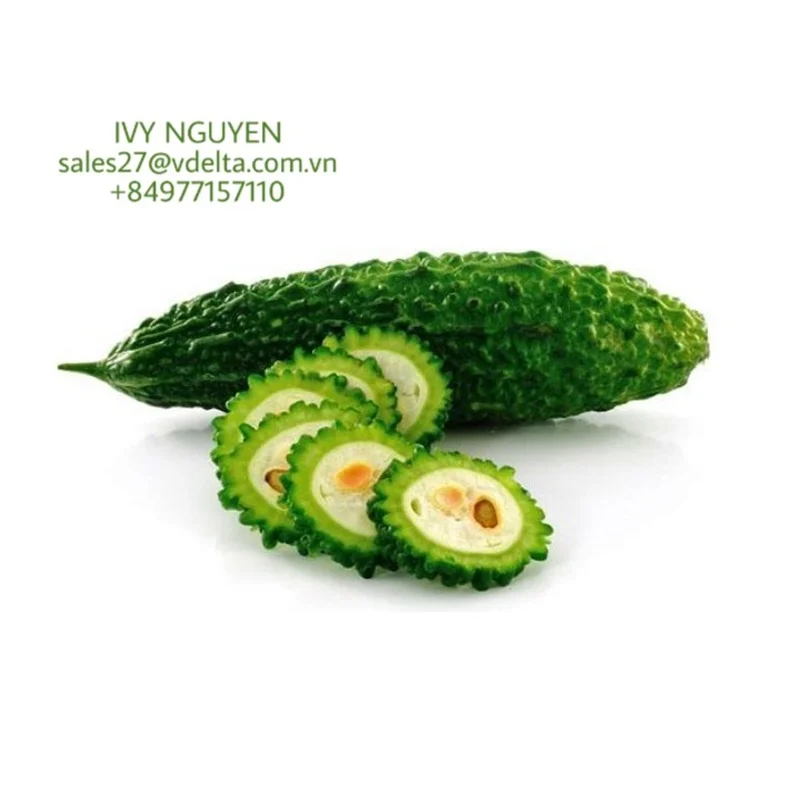 High Quality Bitter Gourd Bitter Melon Wild Cucumber For Making Tea Ivy Buy Bitter Melon Tea Bitter Melon Benefits Bitter Melon Nutrition Product On Alibaba Com