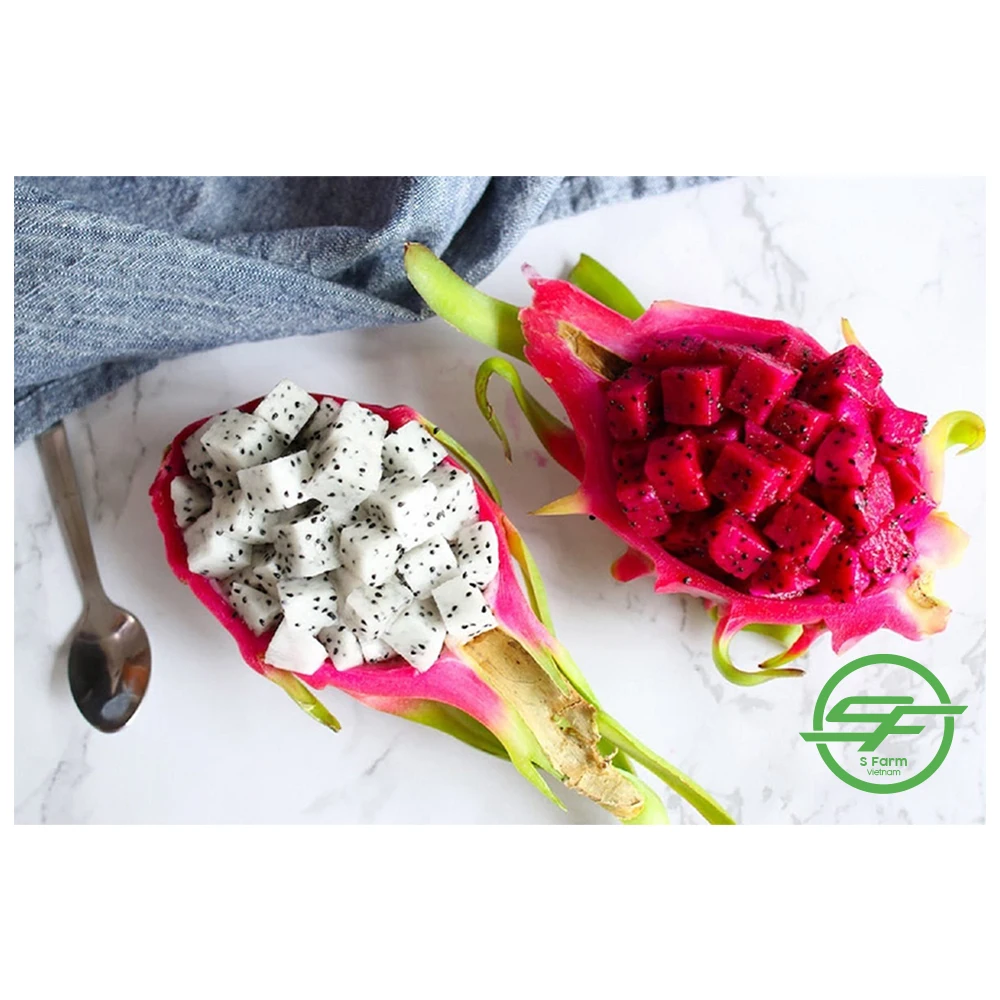 Provider Of The Best Fresh Red Dragon Fruit Buy Dragon Fruit Cuttings