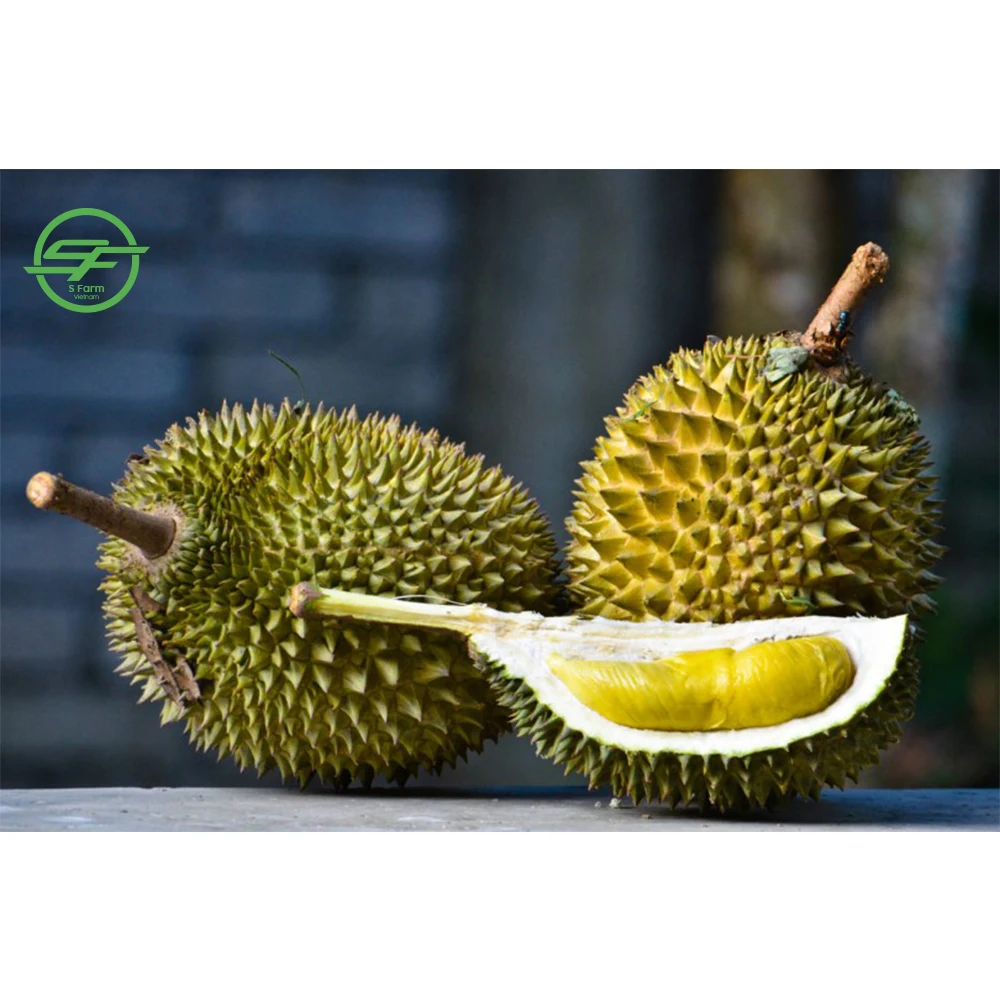 Best Selling Vietnam Natural Sweet Delicious Fresh Durian (Whatsapp/zalo/wechat: +84 912 964 858)