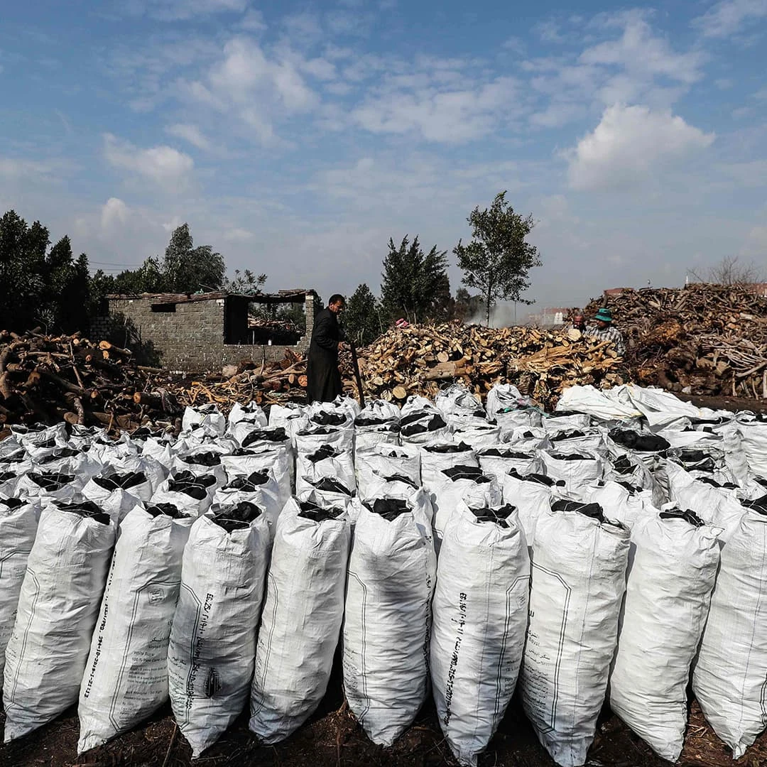 Сильный бесискрящийся древесный уголь для барбекю большого размера по более низкой цене, доступен для экспорта