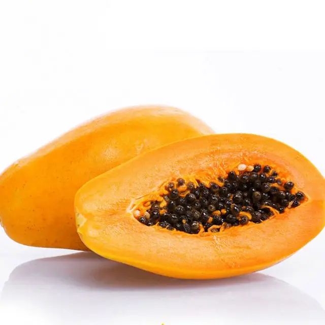 sweet fresh papaya / papaya fruit price / fresh papaya fruit