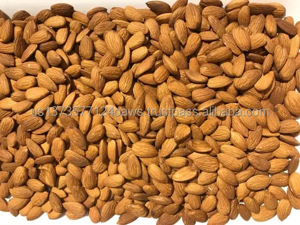 nuts-1600679190-5589864.jpeg