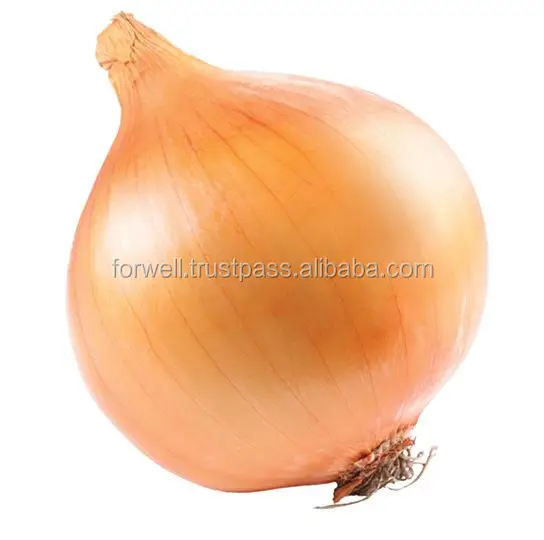 エジプトからのビッグセールで黄色いオニオン Buy 最高価格のための輸出 玉ねぎ タマネギエジプトから輸出業者 競争力のある価格 Product On Alibaba Com エジプトからのビッグセールで黄色いオニオン Buy 最高価格のための輸出 玉ねぎ タマネギエジプトから輸出業者 競争力のある価格 Product On Alibaba Com