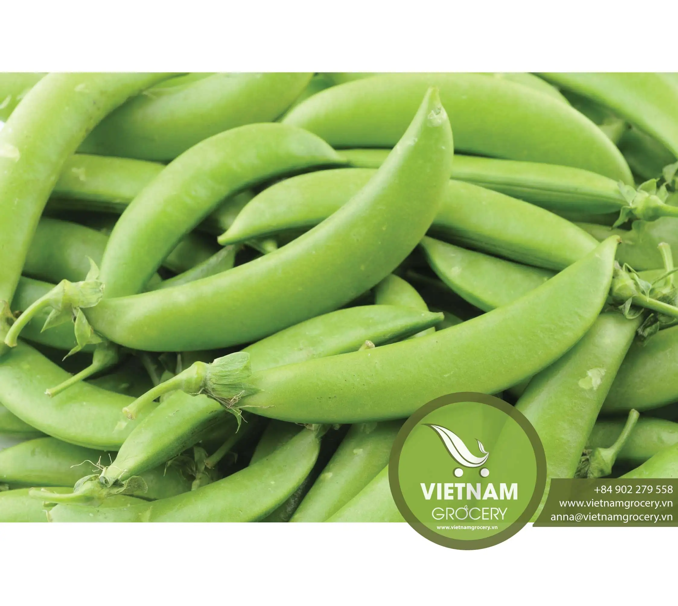 Fresh Frozen Sweet Sugar Snap Peas Wholesale - Buy Sugar Snap Peas ,Vegetable,Peas Product On Alibaba.com