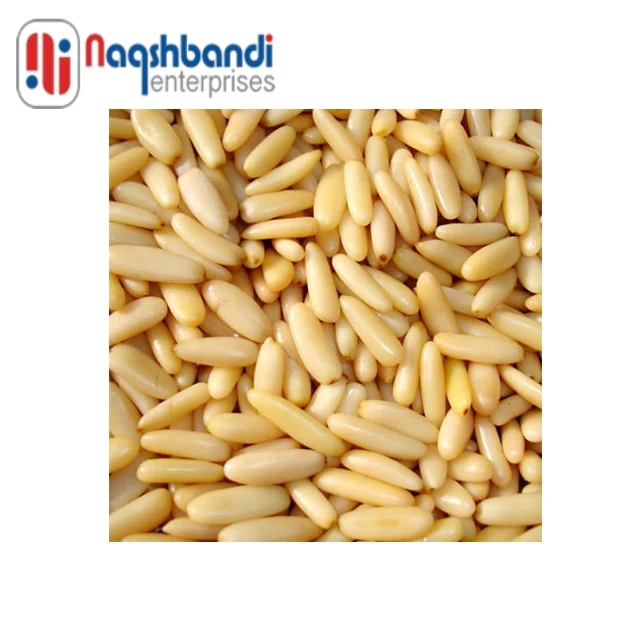 New Fresh Pine Nuts Pakistani Kernels Pine Nuts Wholesale Price Bulk Quantity Pine Nuts 2022