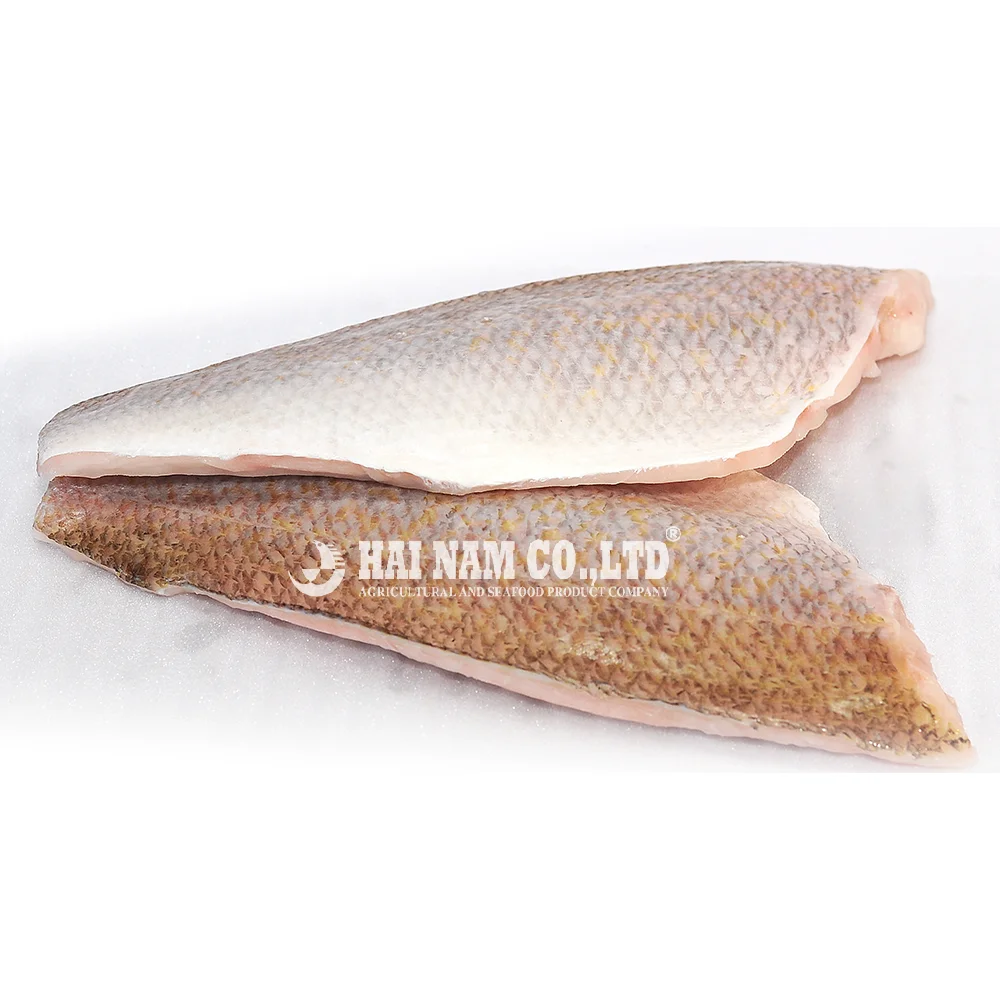 越南制造100 天然一级全身冷冻大王鲷鱼鱼体 Buy Frozen Snapper Fish Snapper Fish Price Snapper Fish Product On Alibaba Com
