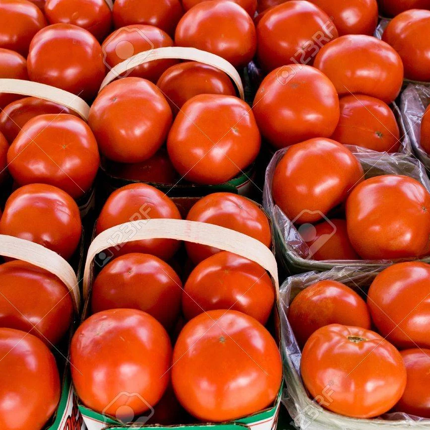 fresh cherry tomatoes for sale