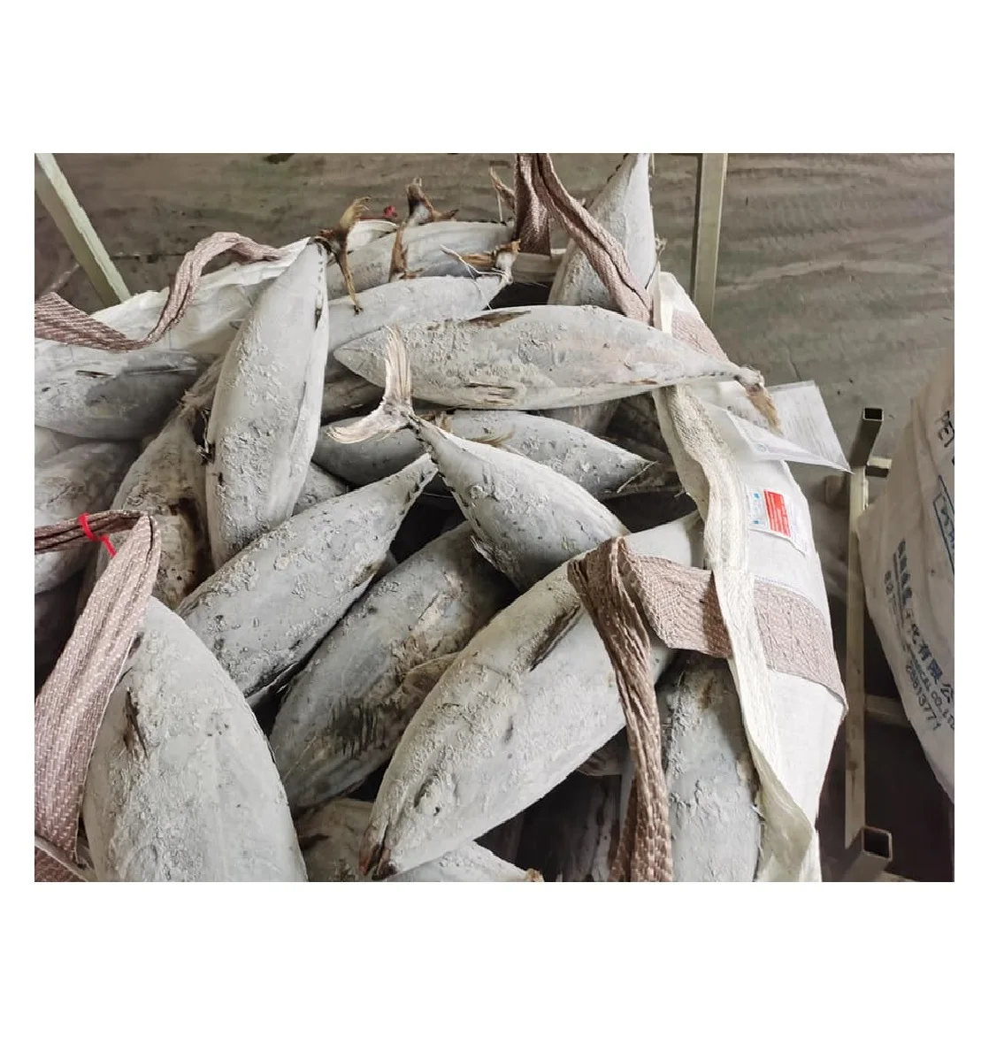 購入新鮮なマグロオンライン ボストン剣 マグロ Buy Frozen Fresh Longtail Tuna Fish Whole Round Frozen Tuna Fish Finding Good Frozen Tuna Supplier Philippines Online New Sea Frozen Whole Round Longtail Tuna Fish Product On Alibaba Com