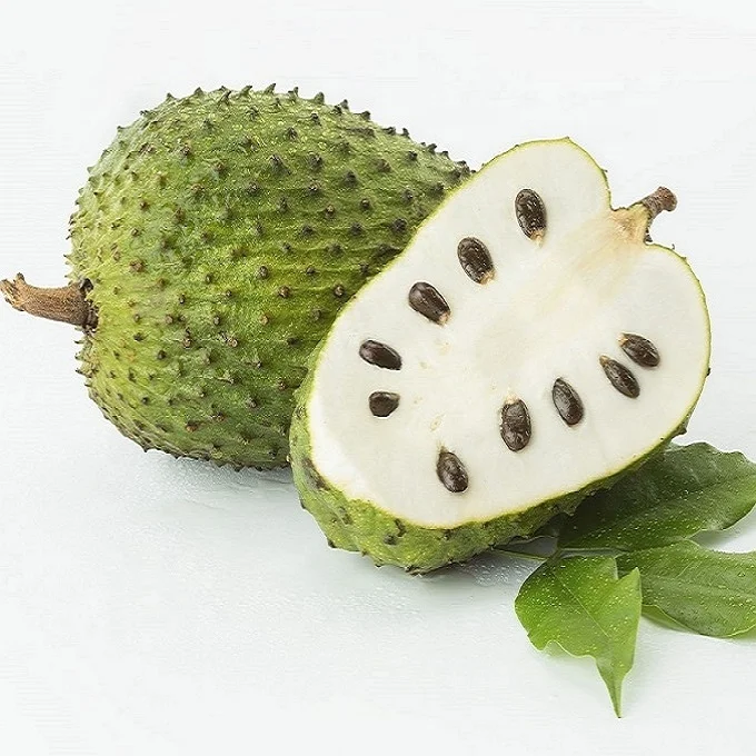 Fresh Soursop Fruit From Vietnam - Axel + 84 38 776 0892 - Buy Fresh ...