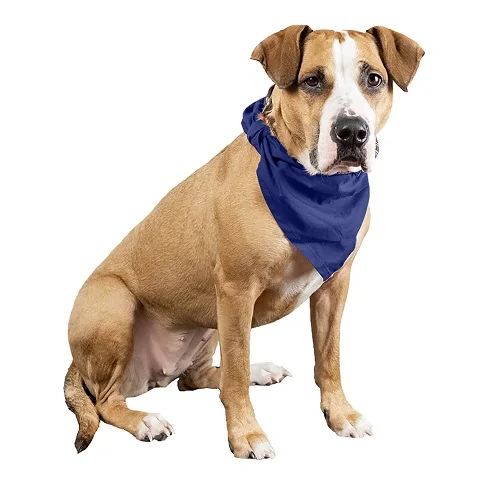 is fish skin good for dogs