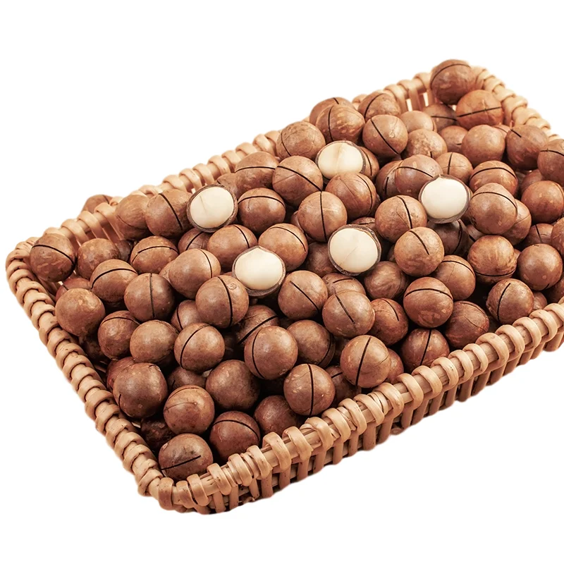 1 (1).png