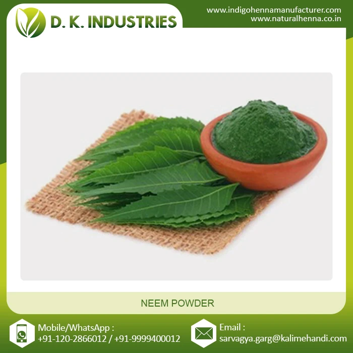 High Quality Hot Selling Natural Neem Powder Buy Neem Powder Herbal