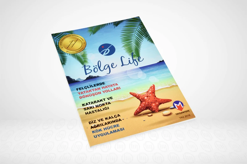 Журнал: буклет с индивидуальной печатью, каталог, флаеры, брошюры, журнал CMYK