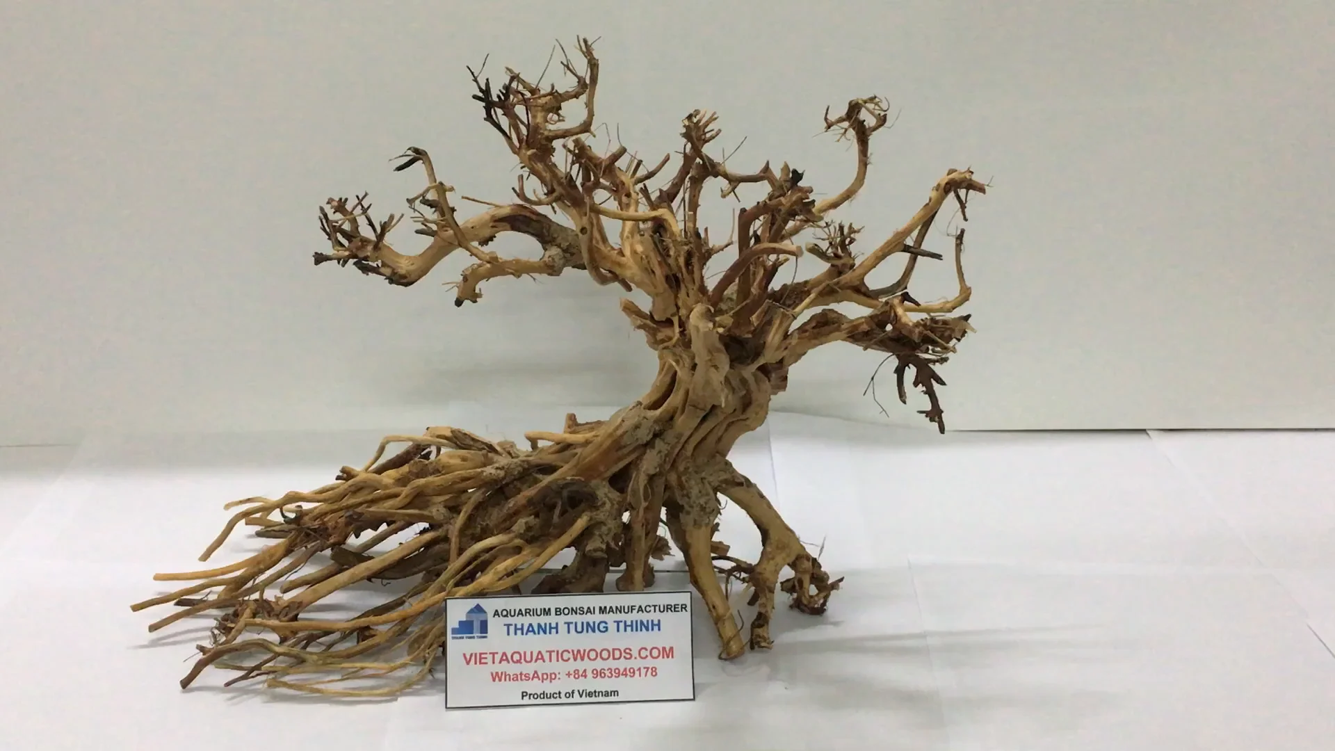 Natural Roots Aquarium Driftwood Mangrove For Reptile Decoration Betta