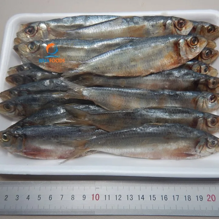 ベトナムでの乾燥ニシン魚の卸売 Buy 干物 ニシン魚 卸売魚市場 Product On Alibaba Com
