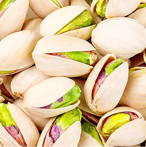 pita5.png