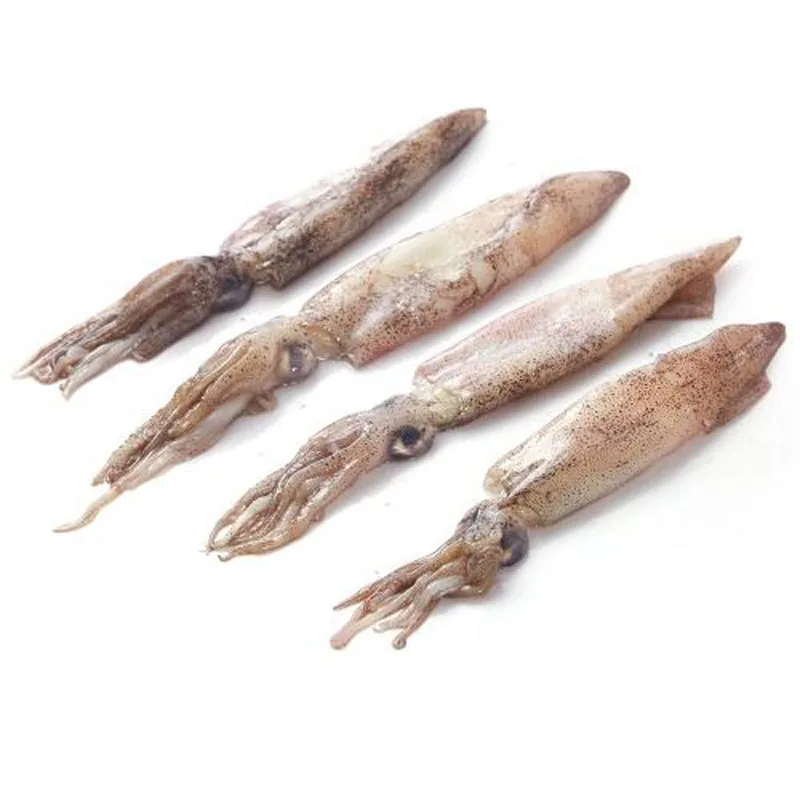 Competitive Price Frozen Whole Round Baby Squid For Sale View Frozen Squid Frozen Squid Product Details From Royal Trading Thailand Co Ltd On Alibaba Com