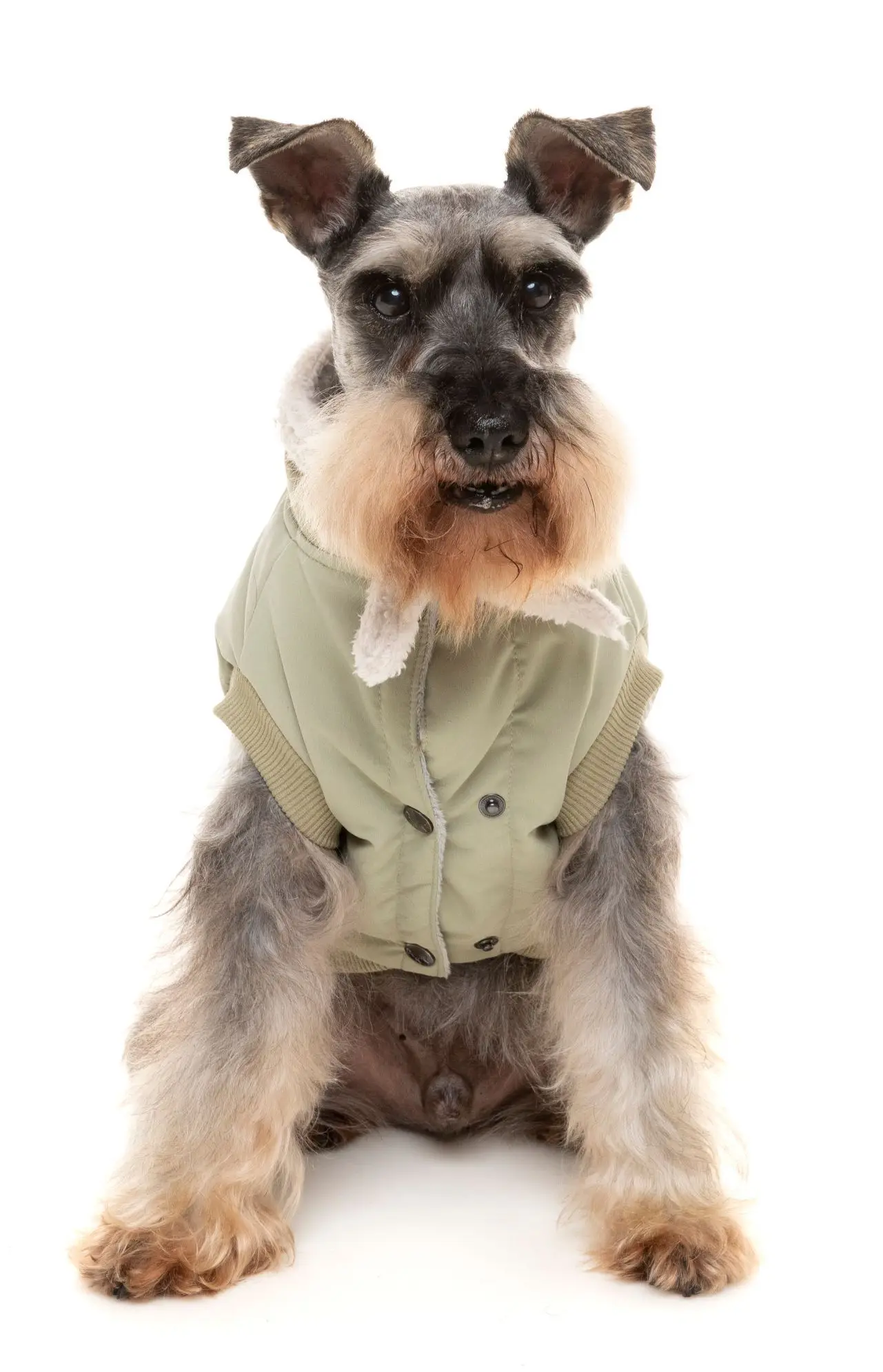 Light Khaki Nordic Bomber Comfortable Adventure Jacket Pet Clothes