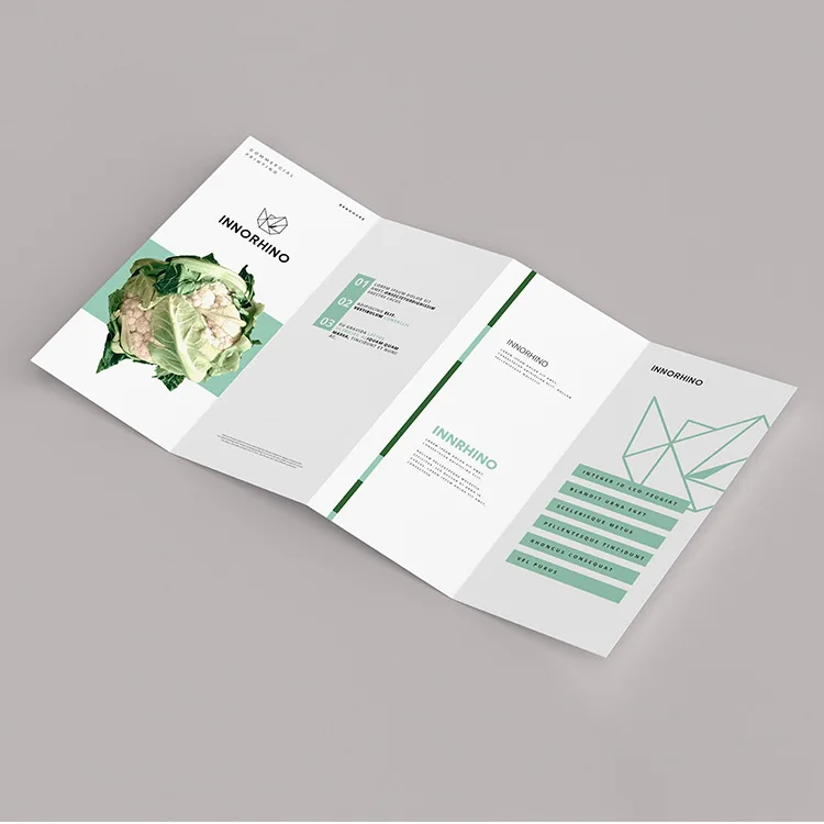 G3-01-04 2021 Custom printing company Folded leaflet booklet pamphlet brochure catelogue