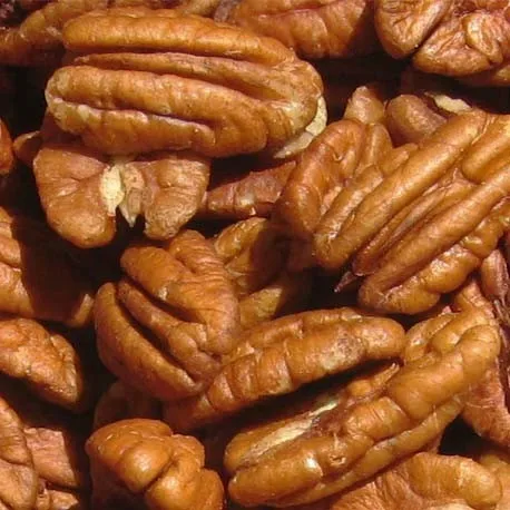 dried style raw pecan nuts delicious