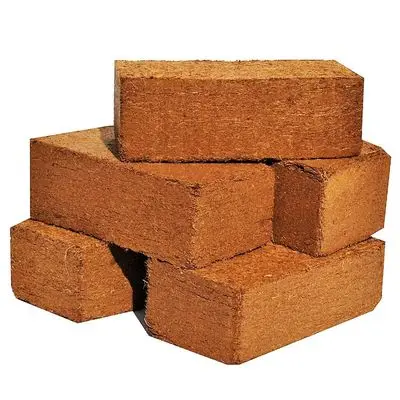 coco peat2.jpg