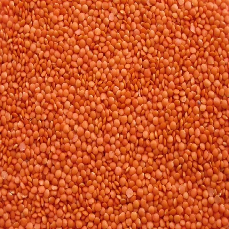 red lentils/ canada red lentils / red split and football red