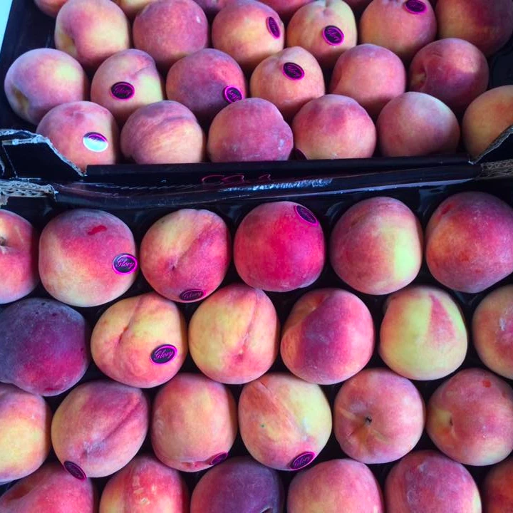 fresh organic peach fruit for sale - buy young peaches,fresh