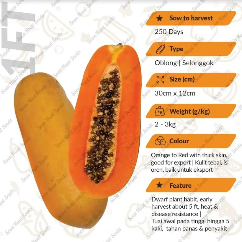 Fresh Fruit Papaya Famous Yellow Red Orange Sweet Premium Quality