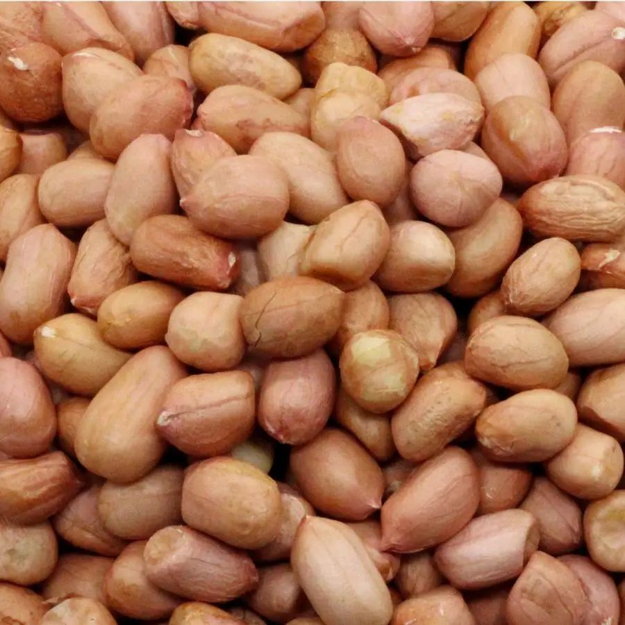 Premium Quality Raw Peanuts,Pea Nut,Roasted,Raw Ground Nuts For Sale