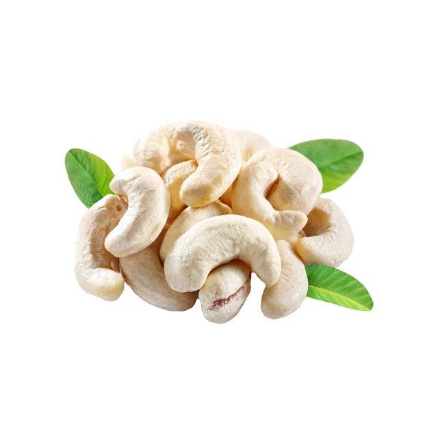 RAW CASHEW NUTS FOR SALE - Cashew nuts W180