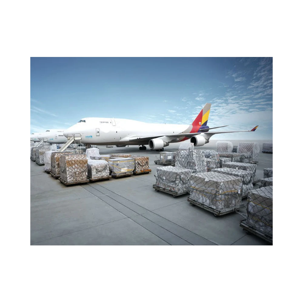 Shipping Agents Customs Compliance International Transactions Import ...