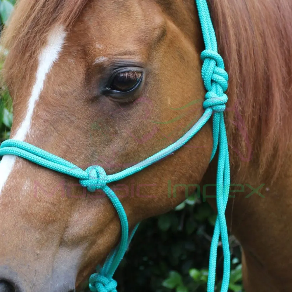 Horse Beaded Lead Rope Best Quality Equestrian Horse Lead Best Quality