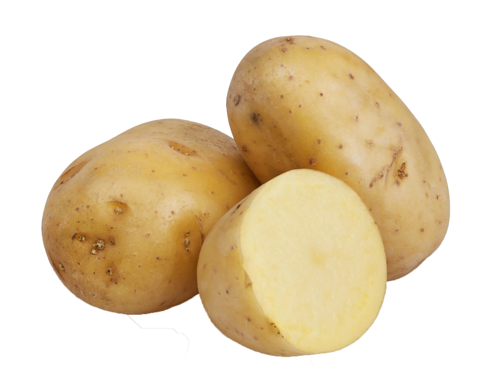 45 (1).png