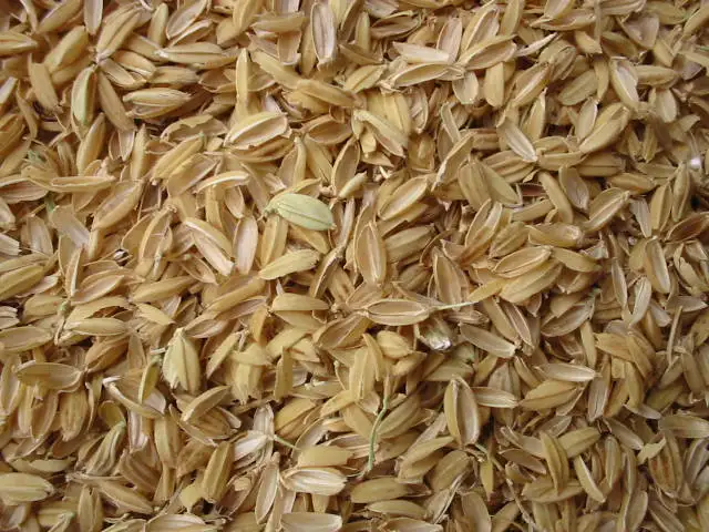 Exporting Cheap Price Raw Rice Husk From Viet Nam  for Sales