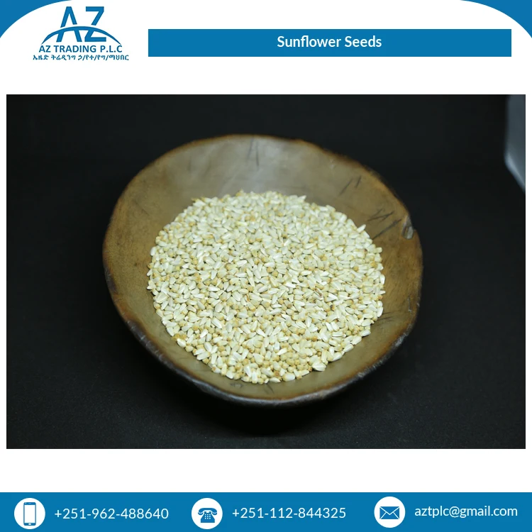 2021 Новое поступление сушеных семян подсолнечника для обычного культивирования оптом