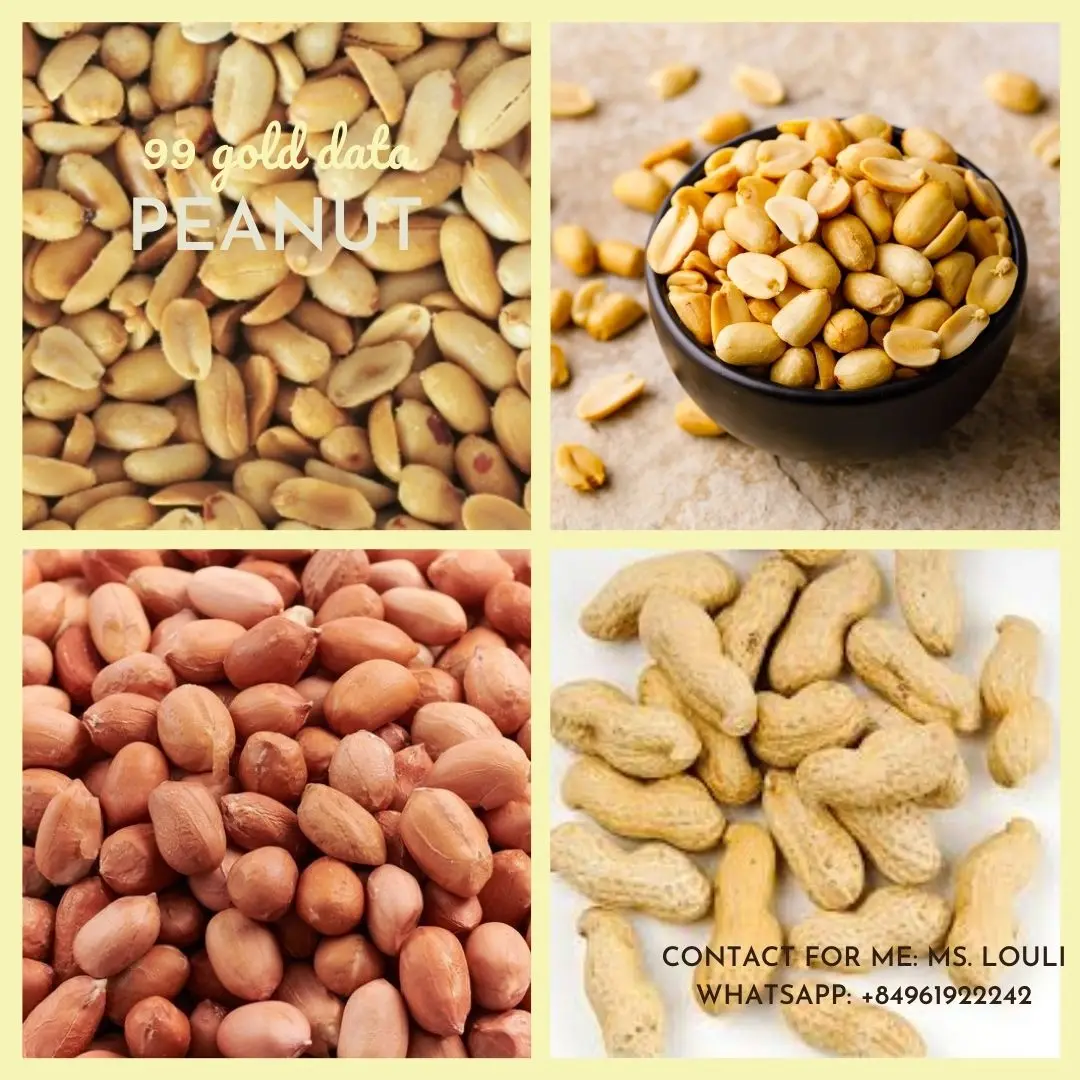 Ground Nuts/ Peanut Supplier In Vietnam/peanut Dried Kernel Peanuts