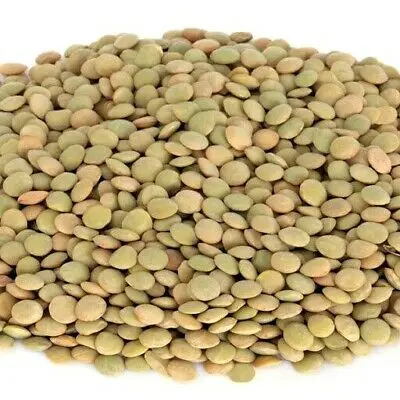 Green-Lentils-Beans.jpg