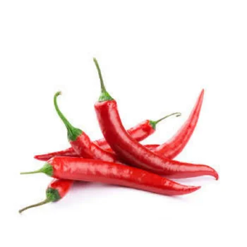 High Quality Dried Chili Whole Red And Chile Peppers Dry Red Pepper Buy Indian Red Pepper Specification Of Fresh Pepper Red Bell Pepper Product On Alibaba Com