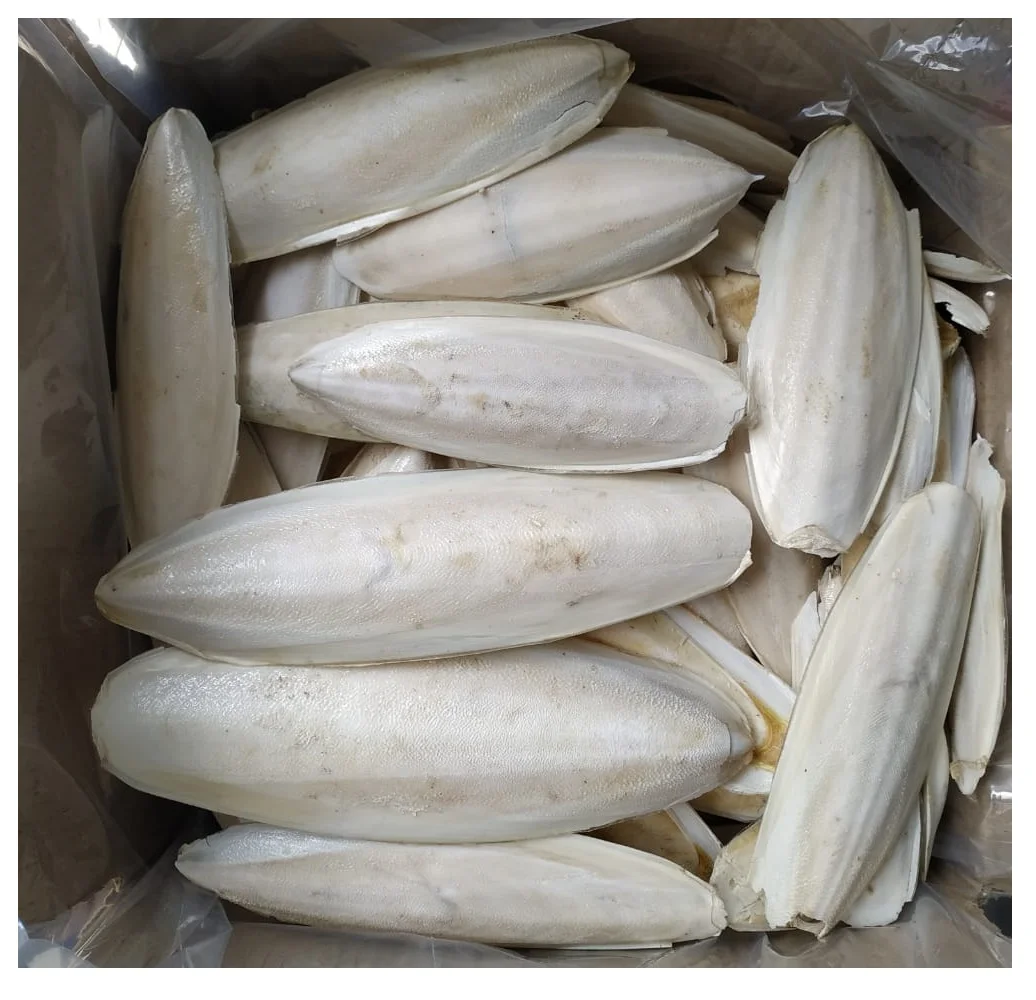 cuttlefish bone for dogs