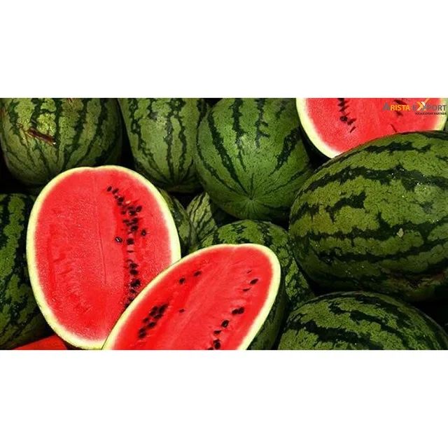high quality wholesale purchase fresh watermelon from india