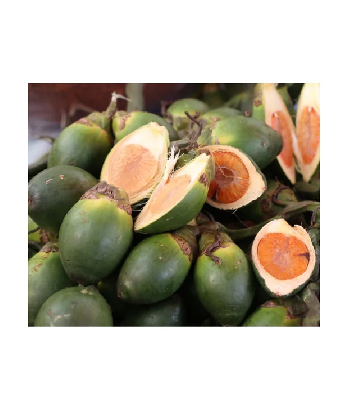 Высококачественный орех BETEL из Вьетнама/сушеный орех ARECA/супарари (Жасмин: + 84 37 461 9429)